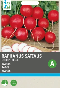 Discount Radieschen (Raphanus sativus 'Cherry Belle') Samen Gemüsesamen|Saatgut