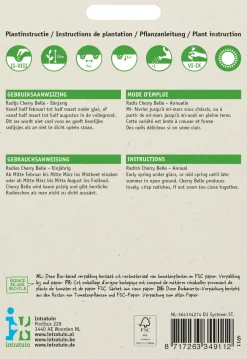 Discount Radieschen (Raphanus sativus 'Cherry Belle') Samen Gemüsesamen|Saatgut