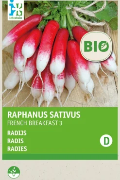 Hot Radieschen (Raphanus sativus 'French Breakfast') (BIO) Samen Gemüsesamen|Saatgut