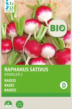 Outlet Radieschen (Raphanus sativus 'Sparkler 2') (BIO) Samen Gemüsesamen|Saatgut