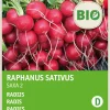 Clearance Radieschen (Raphanus sativus 'Saxa') (BIO) Samen Gemüsesamen|Saatgut