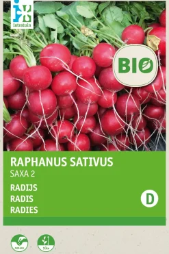 Clearance Radieschen (Raphanus sativus 'Saxa') (BIO) Samen Gemüsesamen|Saatgut