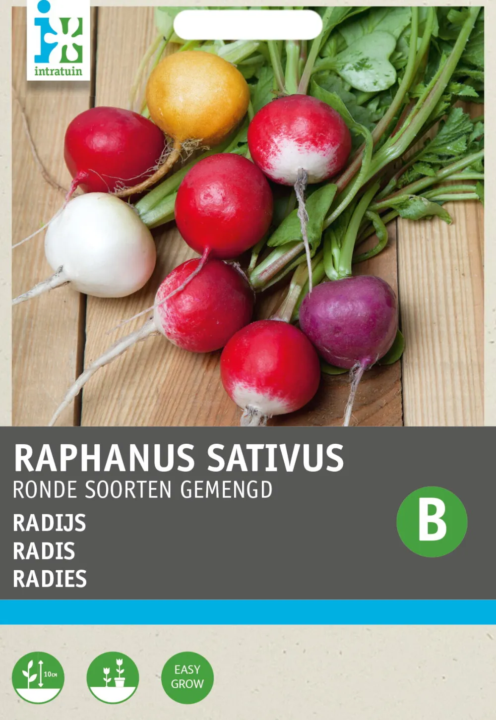 Outlet Radieschen rund gemischt (Raphanus sativus) Samen Gemüsesamen|Saatgut