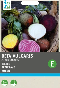 Clearance Rüben "4 Farbenmischung" (Beta vulgares) Samen Gemüsesamen|Saatgut