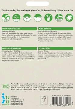 Rübstiel (Brassica rapa 'Namenia') Samen Gemüsesamen|Saatgut