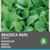 Outlet Rübstiel grün (Brassica rapa 'Stielmus') Samen Gemüsesamen|Saatgut