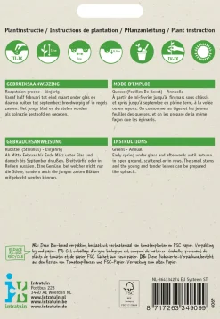 Outlet Rübstiel grün (Brassica rapa 'Stielmus') Samen Gemüsesamen|Saatgut