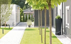 Discount Regentonne Tube 230 l anthrazit Gießen & Bewässerung|Regentonnen