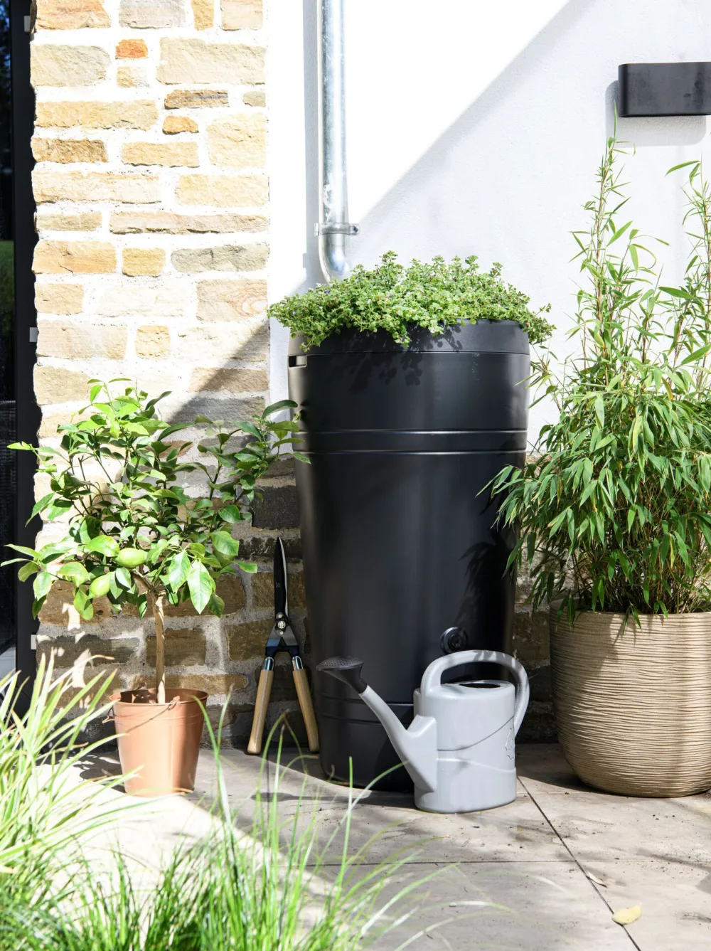 Discount Regentonne Tube 230 l anthrazit Gießen & Bewässerung|Regentonnen