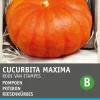 Clearance Riesenkürbis (Cucurbita maxima 'Roter von Etampes') Samen Gemüsesamen|Saatgut