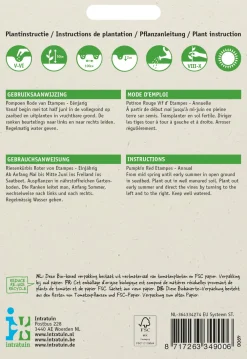 Clearance Riesenkürbis (Cucurbita maxima 'Roter von Etampes') Samen Gemüsesamen|Saatgut