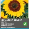 Best Riesen-Sonnenblume (Helianthus annuus 'Giganteus') Blumensamen Saatgut|Blühende Pflanzen