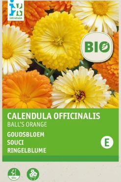 Ringelblume (Calendula officinalis 'Ball's Orange') (BIO) Blumensamen Blühende Pflanzen|Saatgut