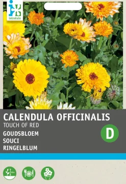 Outlet Ringelblume (Calendula 'Touch of Red') Blumensamen-Mischung Saatgut