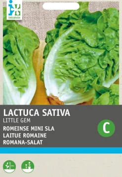 Outlet Romana-Salat Mini (Lactuca sativa 'Mini Romana') Samen Gemüsesamen|Saatgut