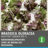 Hot Rosenkohl (Brassica oleracea 'Kalettes Garden Mix F1') Samen Gemüsesamen|Saatgut
