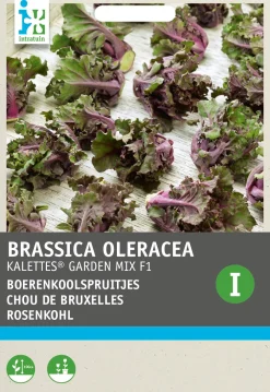 Hot Rosenkohl (Brassica oleracea 'Kalettes Garden Mix F1') Samen Gemüsesamen|Saatgut
