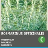 Rosmarin (Rosmarinus officinalis) Samen Kräutersamen|Saatgut