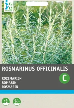 Rosmarin (Rosmarinus officinalis) Samen Kräutersamen|Saatgut