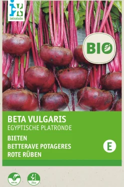 Discount Rote Bete (Beta vulgaris 'Ägyptische Plattrunde') (BIO) Samen Gemüsesamen|Saatgut