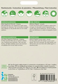 Sale Rote Bete (Beta vulgaris 'Ägyptische Plattrunde') Samen Gemüsesamen|Saatgut