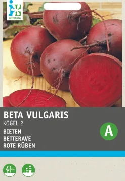 Discount Rote Bete (Beta vulgaris 'Rote Kugel 2') Samen Gemüsesamen|Saatgut
