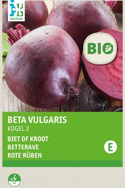 New Rote Bete (Beta vulgaris 'Detroit 2') (BIO) Samen Gemüsesamen|Saatgut