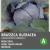 Rotkohl (Brassica oleracea 'Langedijker Dauer') Samen Gemüsesamen|Saatgut