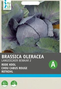 Rotkohl (Brassica oleracea 'Langedijker Dauer') Samen Gemüsesamen|Saatgut