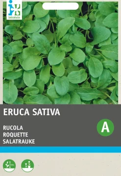 Sale Rucola (Eruca sativa 'Coltivata') Samen Gemüsesamen|Saatgut