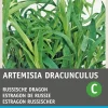 Hot Russischer Estragon (Artemisia dracunculus) Samen Kräutersamen|Saatgut