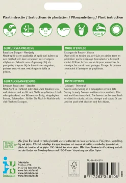 Hot Russischer Estragon (Artemisia dracunculus) Samen Kräutersamen|Saatgut