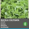 New Salatrauke (Eruca sativa 'Wasabi') Samen Gemüsesamen|Saatgut