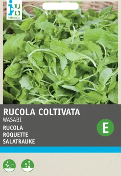 New Salatrauke (Eruca sativa 'Wasabi') Samen Gemüsesamen|Saatgut