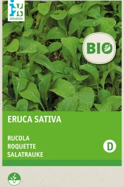Outlet Salatrauke (Eruca sativa) (BIO) Samen Gemüsesamen|Saatgut