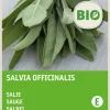 New Salbei (Salvia officinalis) (BIO) Samen Kräutersamen|Saatgut