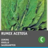 Online Sauerampfer (Rumex acetosa) Samen Gemüsesamen|Saatgut