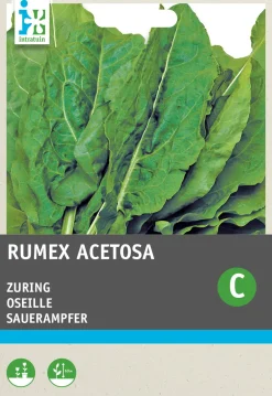 Online Sauerampfer (Rumex acetosa) Samen Gemüsesamen|Saatgut