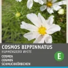 Schmuckkörbchen (Cosmos bippinnatus 'Hummingbird White') Blumensamen Saatgut