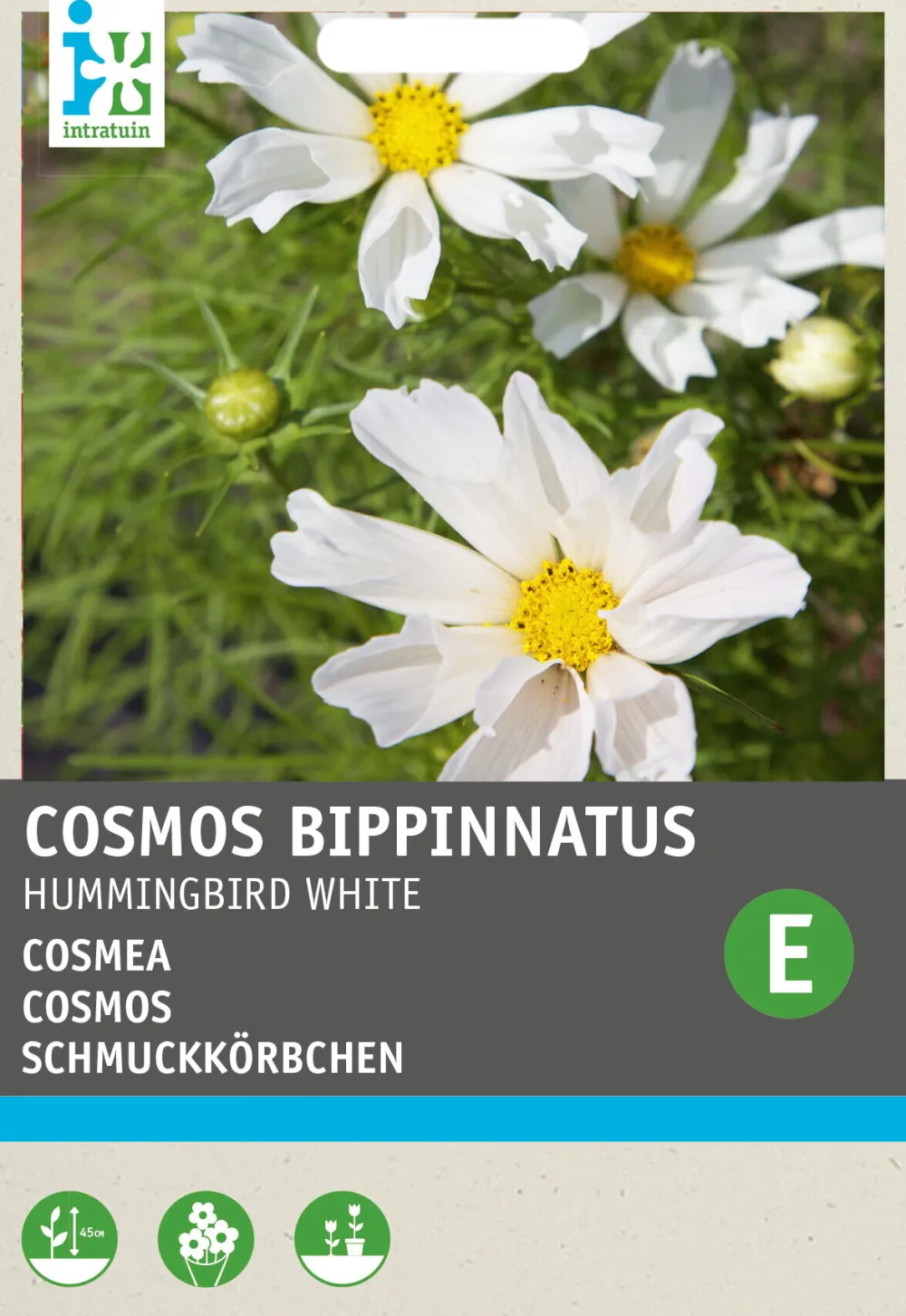 Schmuckkörbchen (Cosmos bippinnatus 'Hummingbird White') Blumensamen Saatgut