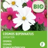 Schmuckkörbchen (Cosmos 'Sensation') (BIO) Samen-Mischung Saatgut