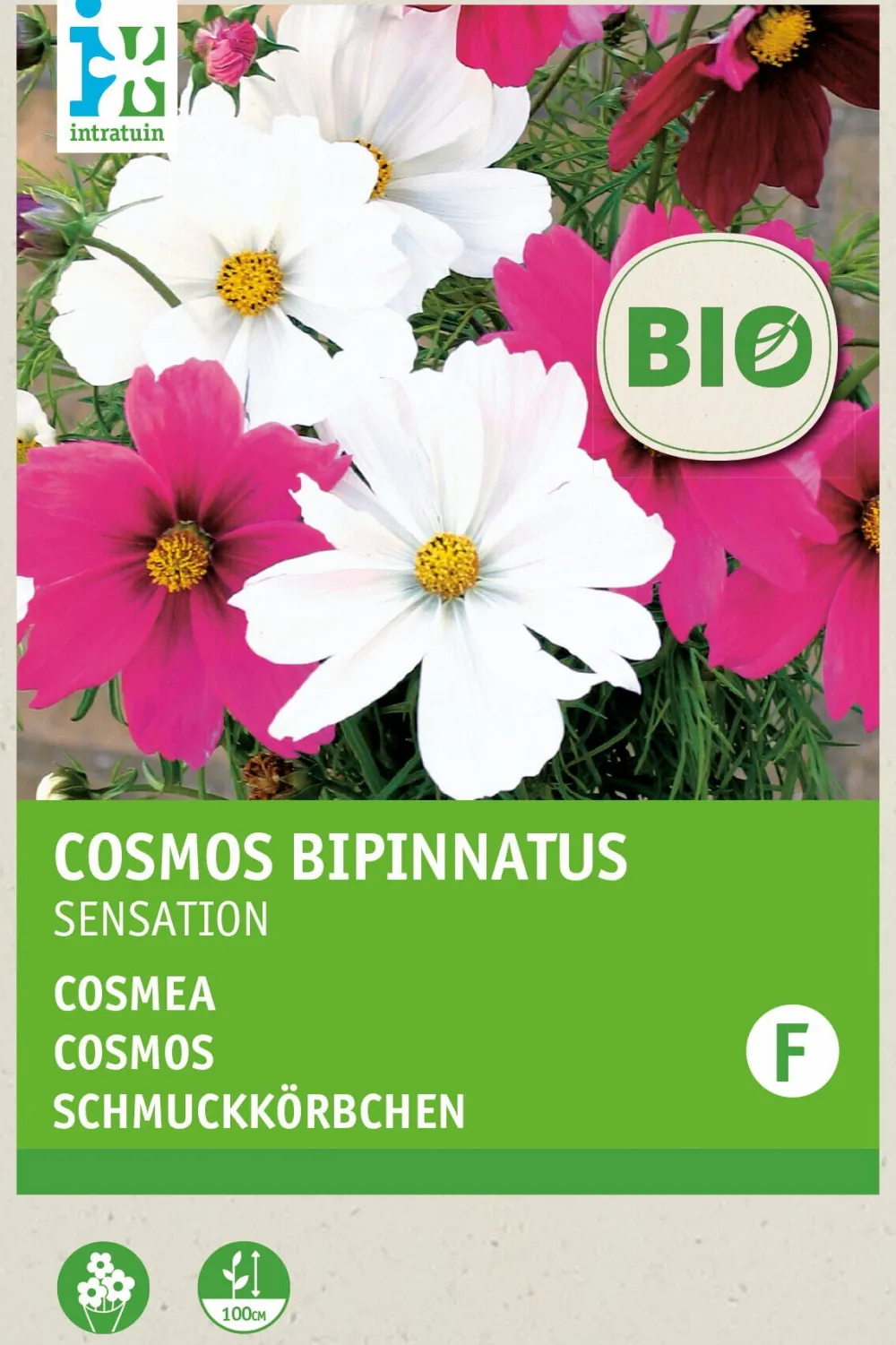 Schmuckkörbchen (Cosmos 'Sensation') (BIO) Samen-Mischung Saatgut