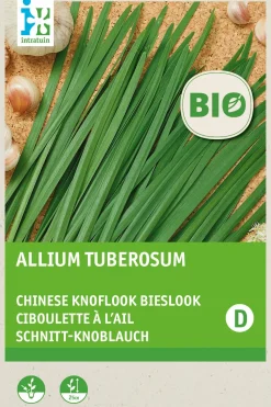 New Schnittknoblauch (Allium tuberosum) (BIO) Samen Kräutersamen|Saatgut
