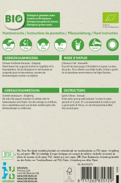 New Schnittknoblauch (Allium tuberosum) (BIO) Samen Kräutersamen|Saatgut