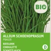 Sale Schnittlauch (Allium schoenoprasum 'Prager') (BIO) Samen Kräutersamen|Saatgut