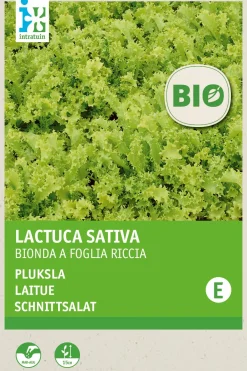 New Schnittsalat (Lactuca sativa 'Bionda a Foglia Riccia') (BIO) Samen Gemüsesamen|Saatgut