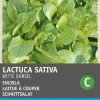 New Schnittsalat (Latuca sativa) Samen Gemüsesamen|Saatgut