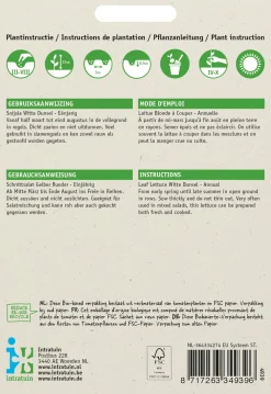 New Schnittsalat (Latuca sativa) Samen Gemüsesamen|Saatgut