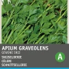 Schnittsellerie (Apium graveolens) Samen Kräutersamen|Saatgut