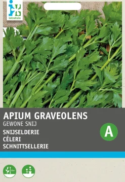 Schnittsellerie (Apium graveolens) Samen Kräutersamen|Saatgut